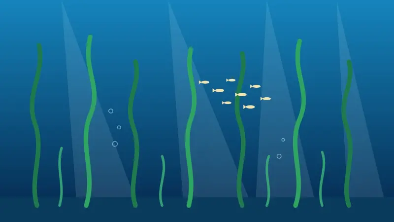 Illustration: A kelp forest